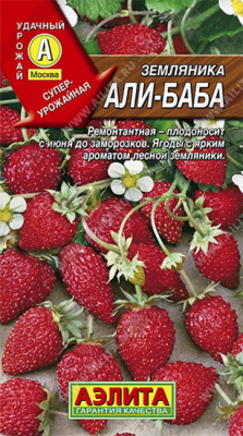 Земляника Али Баба
