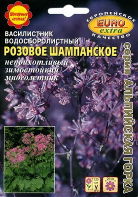 Василистник Розовое шампанское