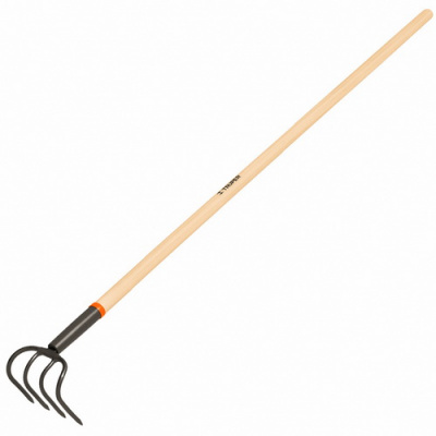 10568