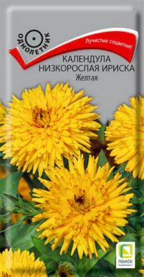 Календула Ириска Желтая низкорослая