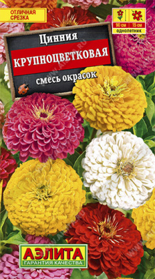 Цинния Крупноцветковая, смесь окрасок