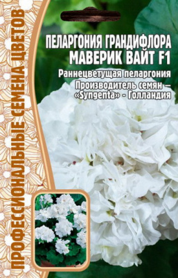 Пеларгония Маверик Вайт