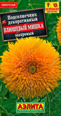 Подсолнечник махровый Плюшевый мишка