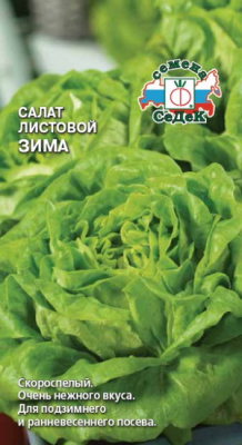 Салат Зима 0,5г