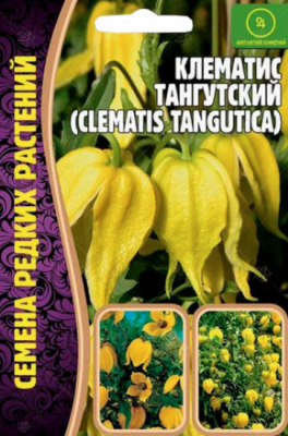 Клематис Тангутский
