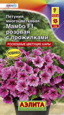Петуния Мамбо розовая с прожилками многоцветковая