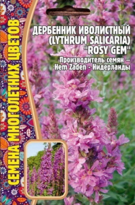 Дербенник Rosy Gem иволистный
