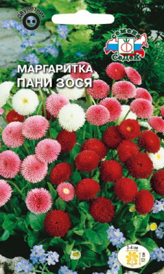 Маргаритка Пани Зося смесь