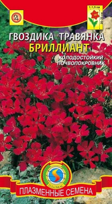 Гвоздика травянка БРИЛЛИАНТ