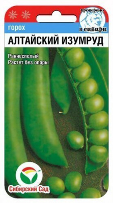 Горох Алтайский изумруд