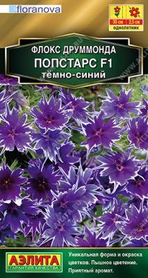 Флокс Друммонда Попстарс F1 темно-синий