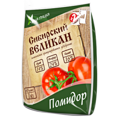 pomidor