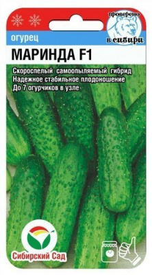 Огурец Маринда