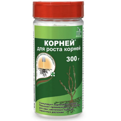 Корней