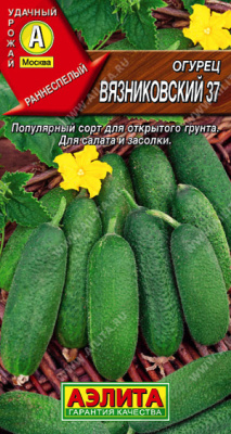 Вязниковский 37
