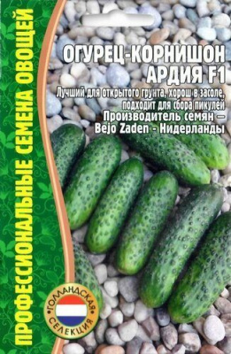 Огурец Ардия