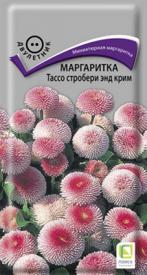 Маргаритка Тассо стробери энд крим