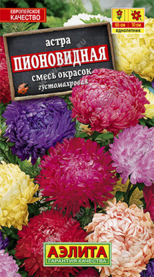 Астра Пионовидная, смесь окрасок