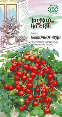 Томат Балконное Чудо Урожай на окне (Гавриш)