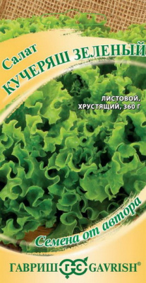 Салат Кучеряш зеленый