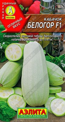 Кабачок Белогор