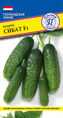 Огурец Сибат