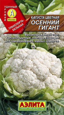Капуста цветная Осенний Гигант
