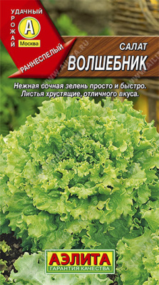 Салат Волшебник полукочанный