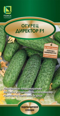 Огурец Директор