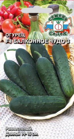 Огурец Балконное Чудо 3
