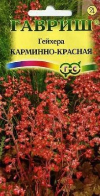Гейхера Карминно-красная