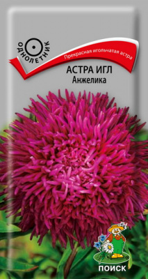 Астра игл Жар-птица