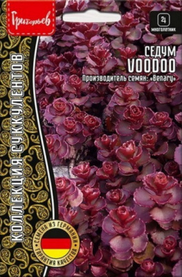 Седум Voodoo