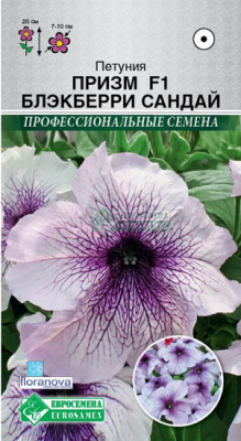 Петуния Призм Блэкберри Сандай