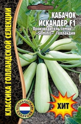kabachok-iskander