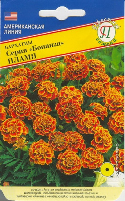 Бархатцы Бонанза Пламя