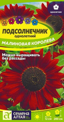 Подсолнечник Малиновая королева
