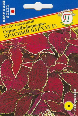 Колеус Фейерверк Красный бархат