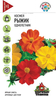 Космея Рыжик