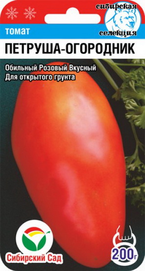 Томат Петруша огородник