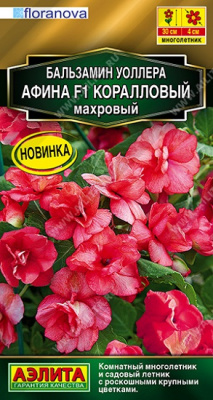 Бальзамин Афина коралловый махровый