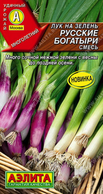 Лук на зелень Русские богатыри