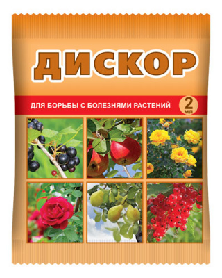 Дискор
