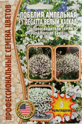 Лобелия РЕГАТТА Белый каскад ампельная