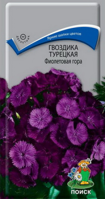 Гвоздика турецкая Фиолетовая гора