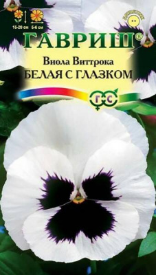 Виола Виттрока Белая с глазком (Гавриш)