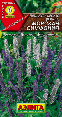 Мята Морская симфония мексиканская