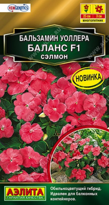 Бальзамин Баланс сэлмон