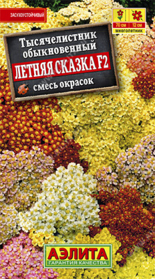 Тысячелистник Летняя Сказка, смесь окрасок