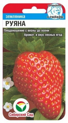 Земляника Руяна